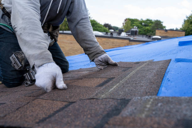 Best Commercial Roofing Services  in Ault, CO